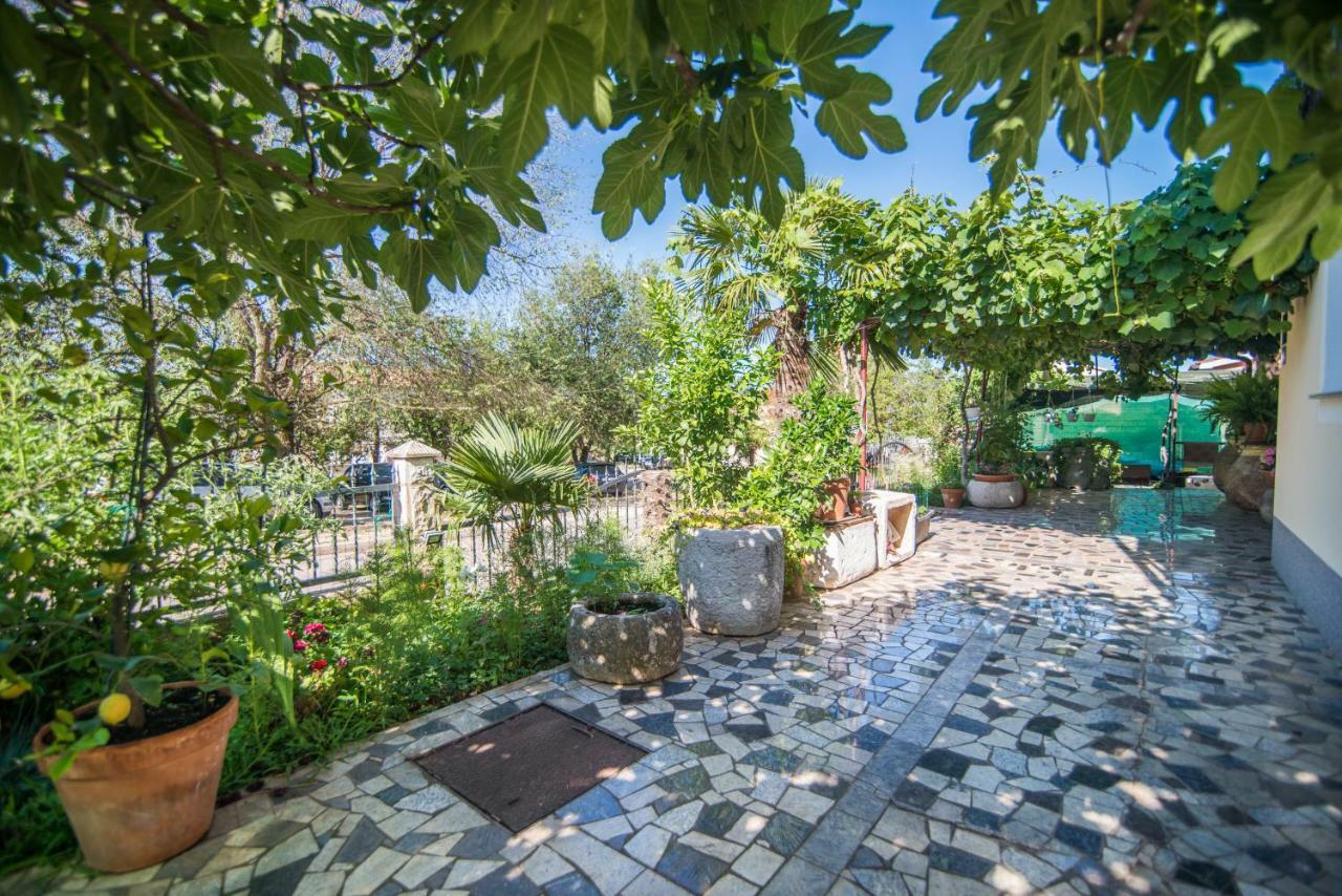 Apartman Marina